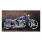 Paughco, drag pipes (40"). Chrome