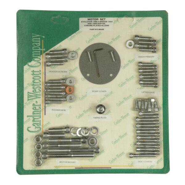 Motor screw sets, chrome allen
