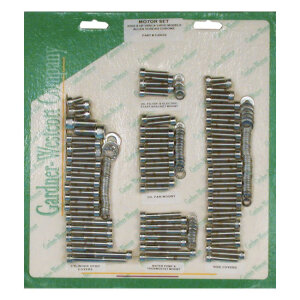 Motor screw set, chrome allen