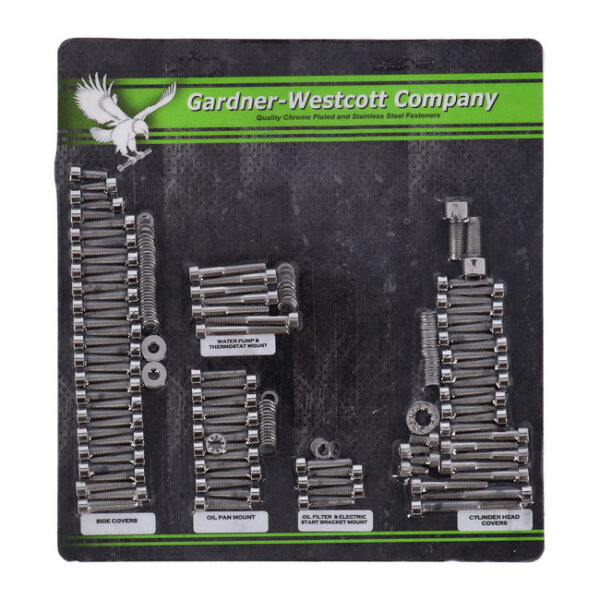 Motor screw set, polished ss allen
