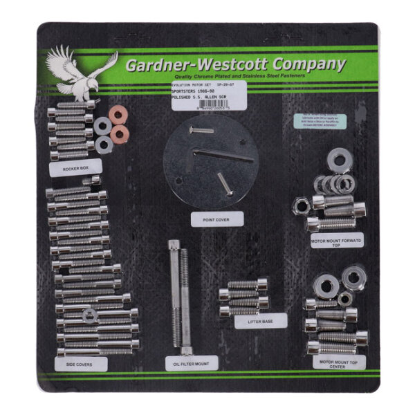 Motor screw set, polished ss allen