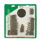 Motor screw set, ss allen