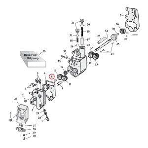 James, retaining rings. Oil pump drive shaft (outer)