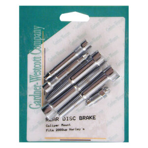 Brake caliper mount rear