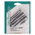 Brake caliper mount rear