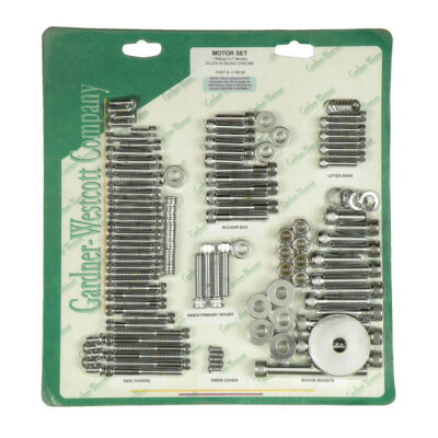 Motor screw set, chrome allen