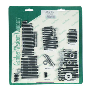 Motor screw set, polished ss allen