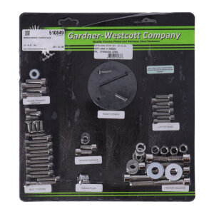 Motor screw set, polished ss allen