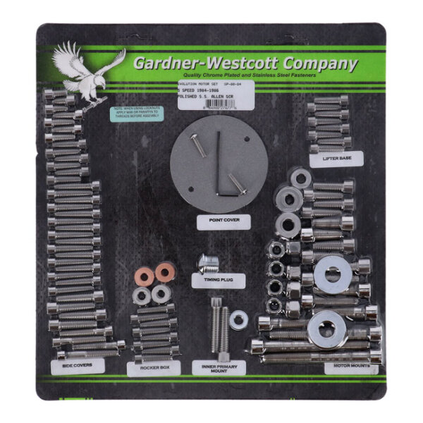 Motor screw set, polished ss allen