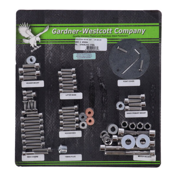 Motor screw set, polished ss allen