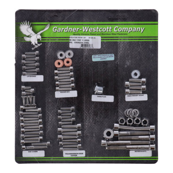 Motor screw set, polished ss allen