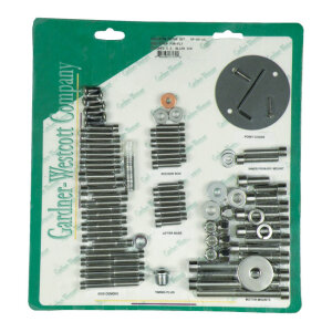 Motor screw set, polished ss allen