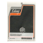 Colony, timing/drain plug. Hex head. Chrome