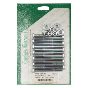 Crankcase bolt kit, hex