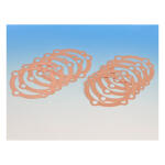 James, cylinder head gasket. Copper .016" thick