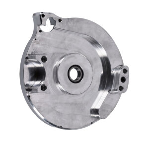 Bdl repl motor plate