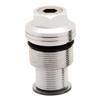 Burly, 39mm fork spring preload adjusters. Clear anodized