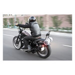 Burly, sissy bar. 13" black, no backrest pad