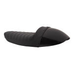 Burly, Sportster cafe tail section. Paintable cowl