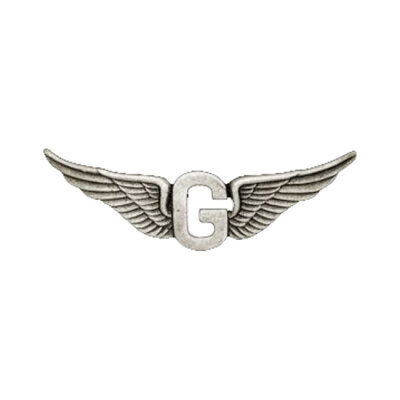 Biker pins Goldwing g wing pin