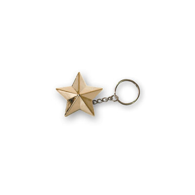 Triktopz Star key chain gold