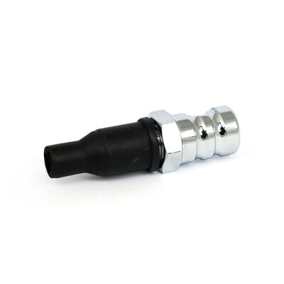 License plate light mount bolt. Grooved. Chrome