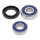 All Balls wheel bearing kit, rear