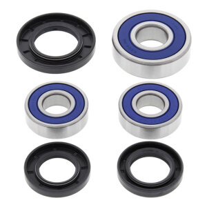 All Balls wheel bearing kit, rear