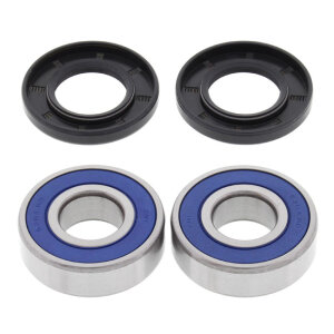 All Balls wheel bearing kit, rear