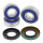 All Balls wheel bearing kit, rear