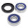 All Balls wheel bearing kit, rear