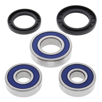 All Balls wheel bearing kit, rear