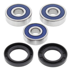 All Balls wheel bearing kit, rear