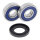 All Balls wheel bearing kit, rear