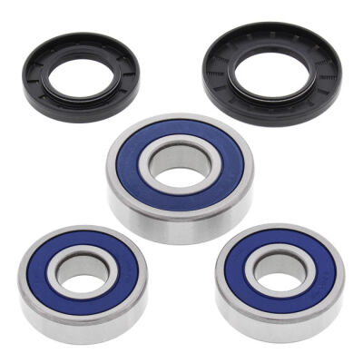 All Balls wheel bearing kit, rear