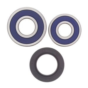 All Balls wheel bearing kit, rear