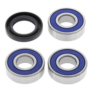 All Balls wheel bearing kit, rear