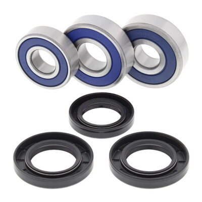 All Balls wheel bearing kit, rear