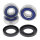 All Balls wheel bearing kit, rear