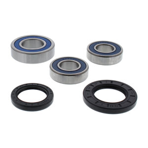 All Balls wheel bearing kit, rear