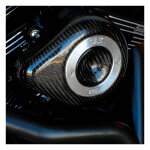 S&S Stealth, carbon teardrop air cleaner kit