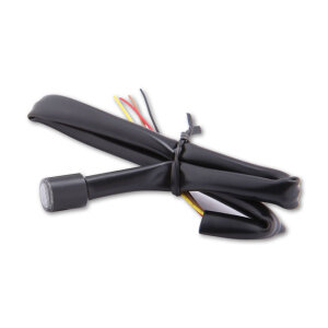 Proton module LED 3-1 turn signal combo ECE appr.