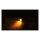 Proton module LED 3-1 turn signal combo ECE appr.