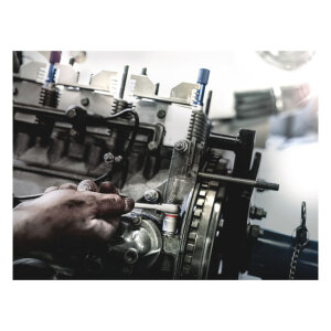 Wera Zyklop 1/4" socket - Metric 9.0