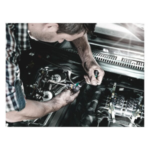 Wera Zyklop 1/2" drive extended Torx® socket bit...