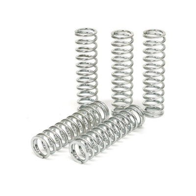 TRW clutch spring kit