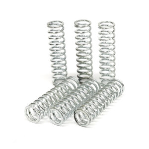 TRW clutch spring kit