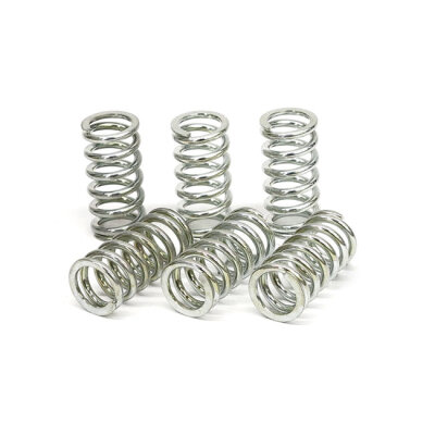 TRW clutch spring kit