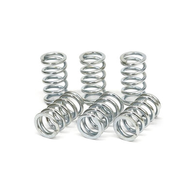TRW clutch spring kit