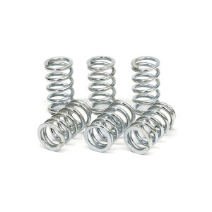 TRW clutch spring kit